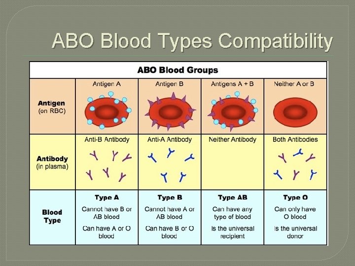 ABO Blood Types Compatibility 