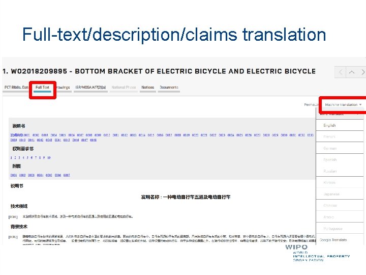 Full-text/description/claims translation 