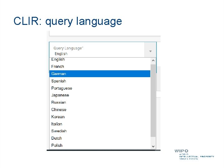 CLIR: query language 