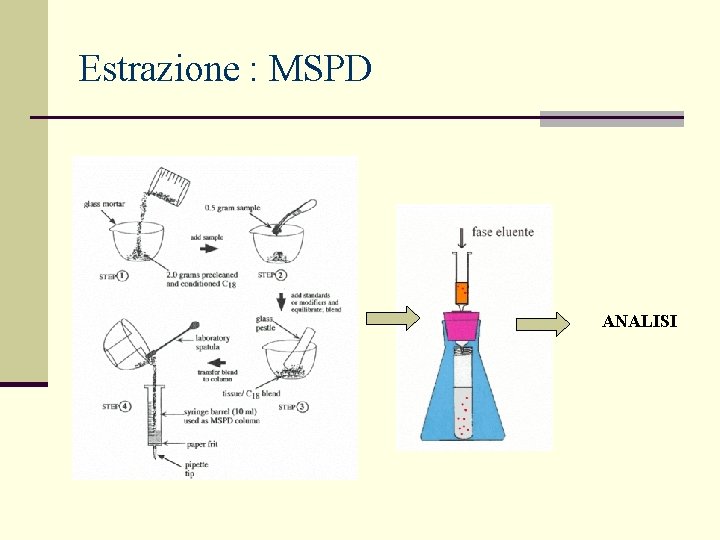 Estrazione : MSPD ANALISI 