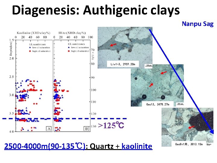 Diagenesis: Authigenic clays Nanpu Sag Liu 1 -3，2959. 20 m Gao 13，3478. 27 m