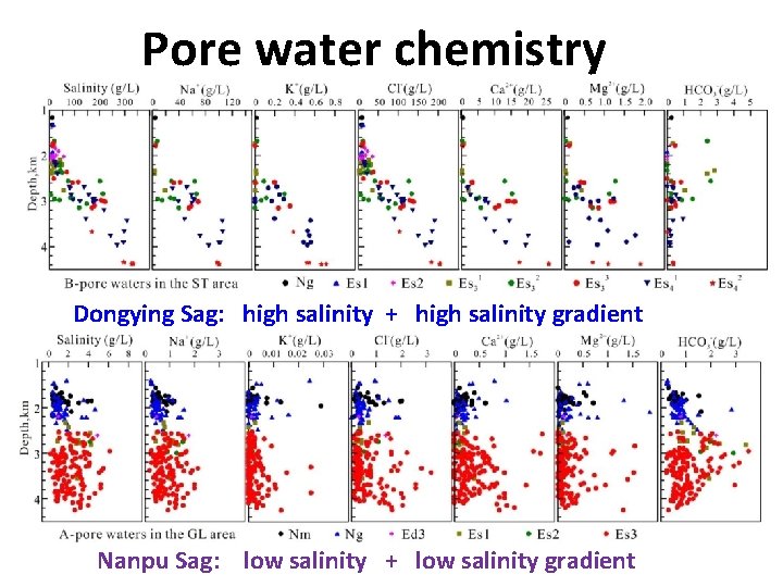 Pore water chemistry Dongying Sag: high salinity + high salinity gradient Nanpu Sag: low