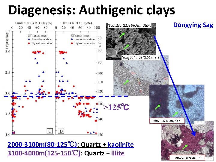 Diagenesis: Authigenic clays Dongying Sag Tuo 123，2208. 960 m，SEM Yong 924，2843. 56 m, (-)