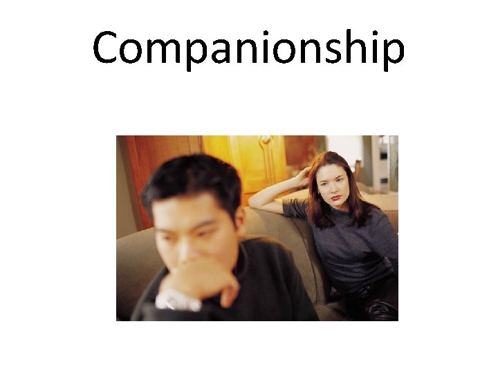 Companionship 