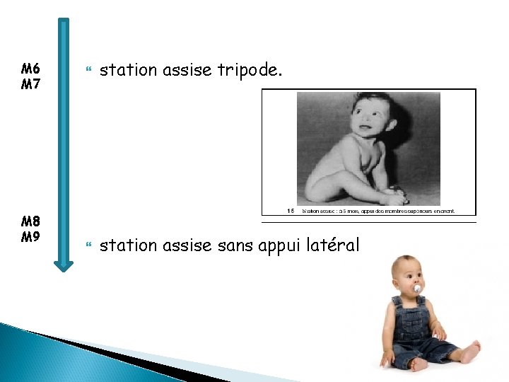 M 6 M 7 M 8 M 9 station assise tripode. station assise sans