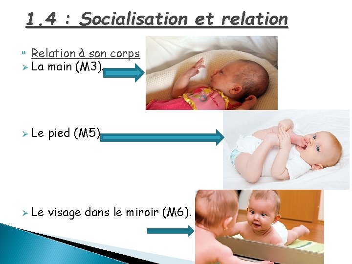 1. 4 : Socialisation et relation Relation à son corps Ø La main (M