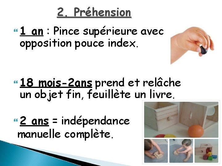 2. Préhension 1 an : Pince supérieure avec opposition pouce index. 18 mois-2 ans