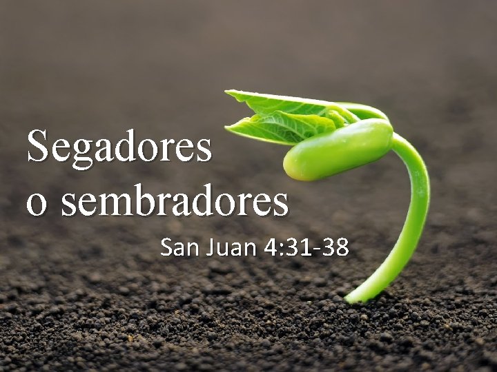 Segadores o sembradores San Juan 4: 31 -38 