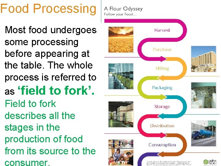 Food Processing Most food undergoes some processing before appearing at the table. The whole