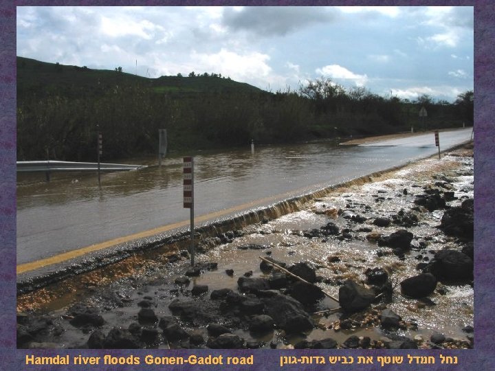 Hamdal river floods Gonen-Gadot road גונן - נחל חמדל שוטף את כביש גדות 