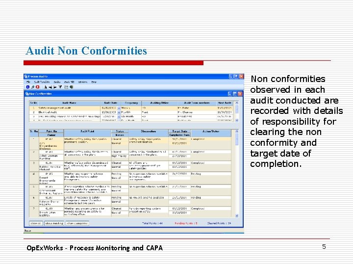 Audit Non Conformities. Non conformities observed in each audit conducted are recorded with details