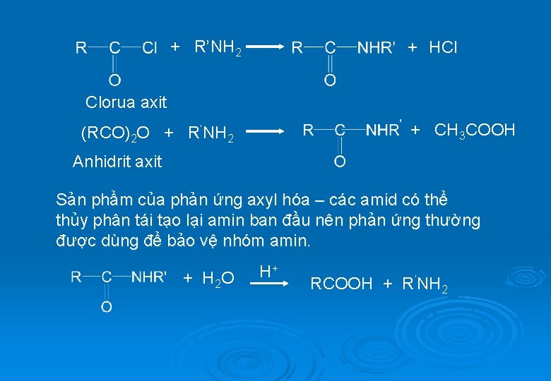 + R’NH 2 + HCl Clorua axit + CH 3 COOH (RCO)2 O +