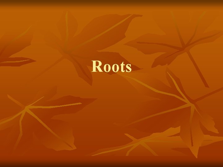 Roots 