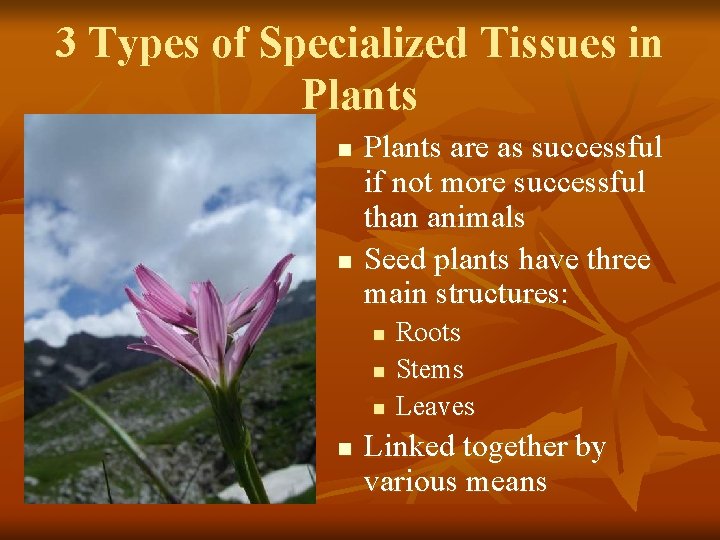 3 Types of Specialized Tissues in Plants n n Plants are as successful if