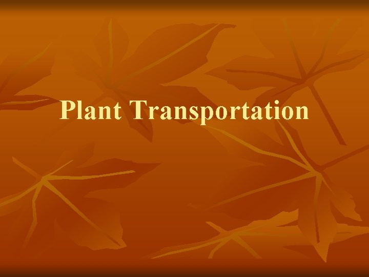 Plant Transportation 