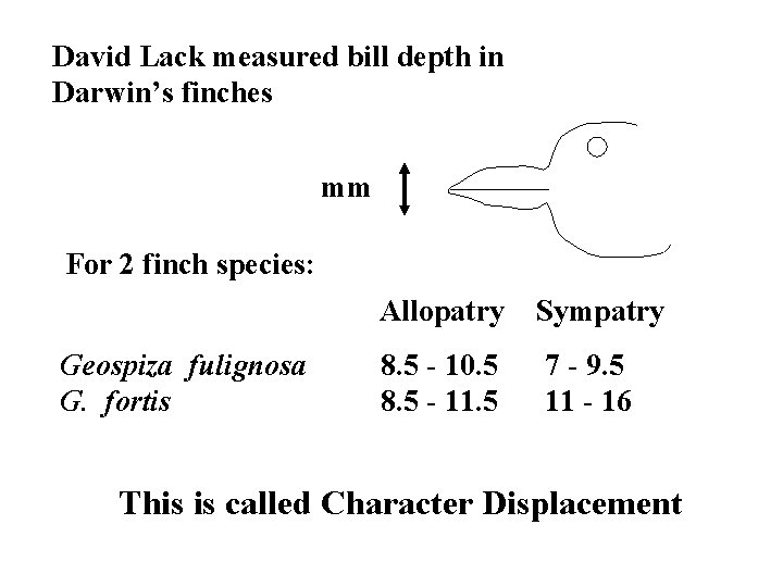 David Lack measured bill depth in Darwin’s finches mm For 2 finch species: Geospiza