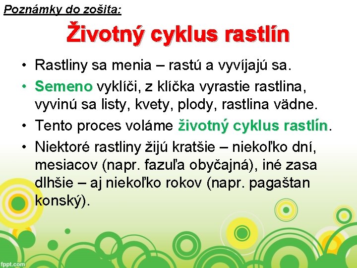 Poznámky do zošita: Životný cyklus rastlín • Rastliny sa menia – rastú a vyvíjajú