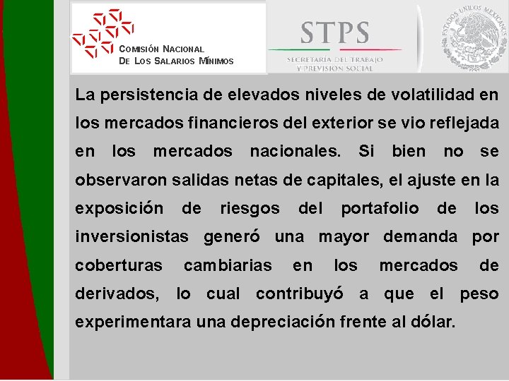 COMISIÓN NACIONAL DE LOS SALARIOS MÍNIMOS La persistencia de elevados niveles de volatilidad en