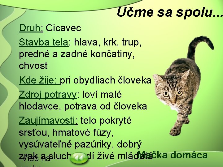 Učme sa spolu. . . Druh: Cicavec Stavba tela: hlava, krk, trup, predné a