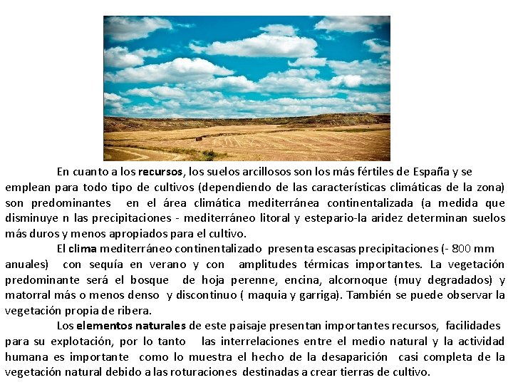 En cuanto a los recursos, los suelos arcillosos son los más fértiles de España