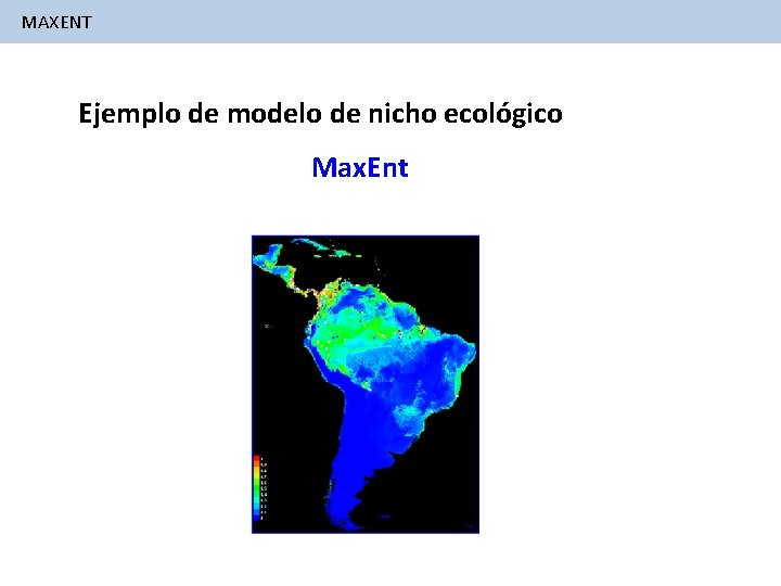 MAXENT Ejemplo de modelo de nicho ecológico Max. Ent 