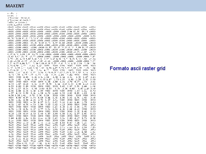 MAXENT Formato ascii raster grid 