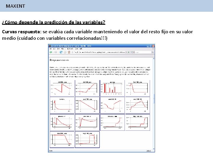 MAXENT ¿Cómo depende la predicción de las variables? Curvas respuesta: se evalúa cada variable