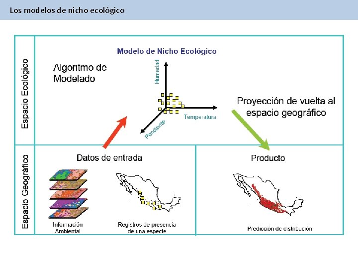 Los modelos de nicho ecológico 