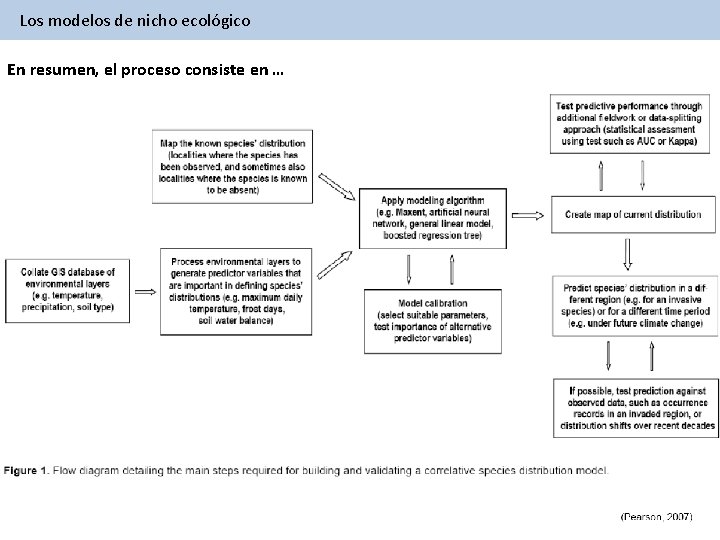 Los modelos de nicho ecológico En resumen, el proceso consiste en … 