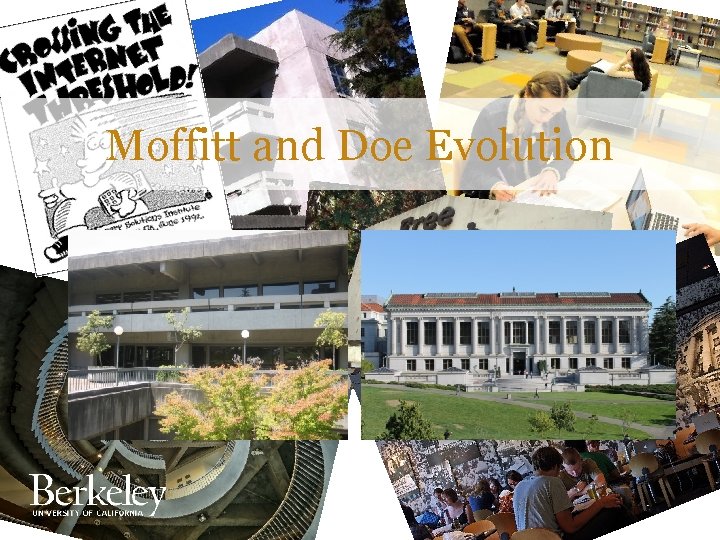 Moffitt and Doe Evolution Moffitt and Doe Evolution