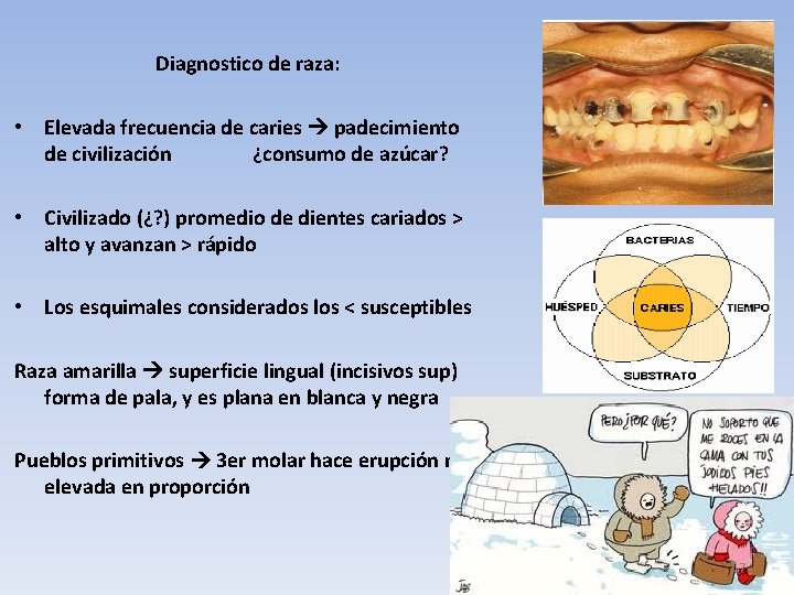 Diagnostico de raza: • Elevada frecuencia de caries padecimiento de civilización ¿consumo de azúcar?