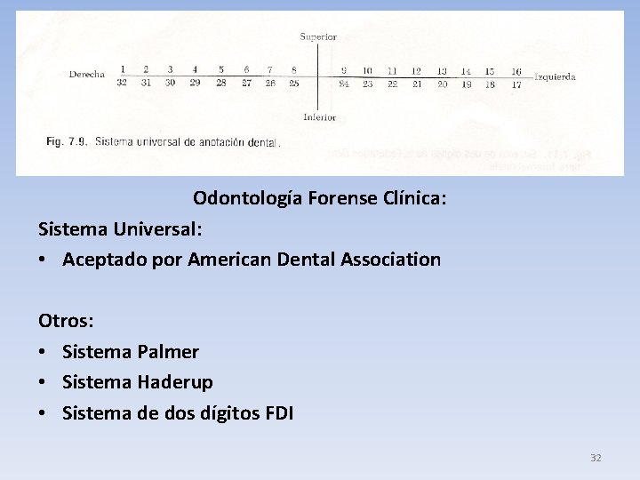 Odontología Forense Clínica: Sistema Universal: • Aceptado por American Dental Association Otros: • Sistema