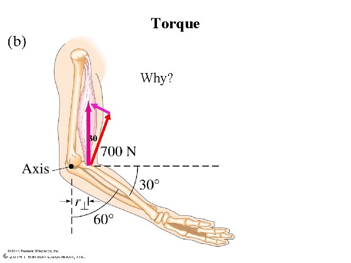 Torque Why? 30 © 2014 Pearson Education, Inc. 