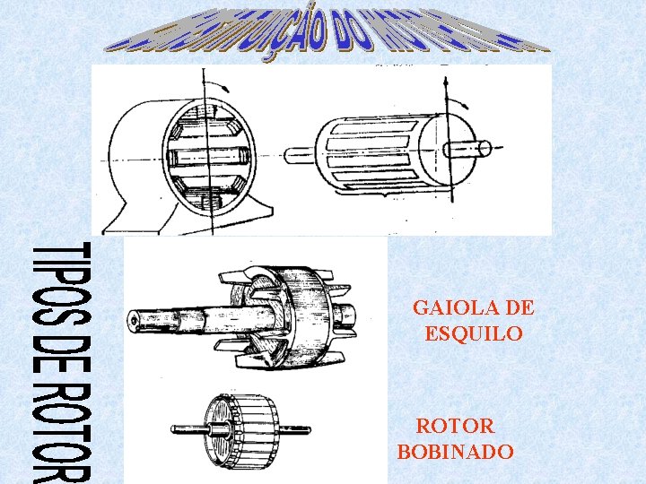 GAIOLA DE ESQUILO ROTOR BOBINADO 