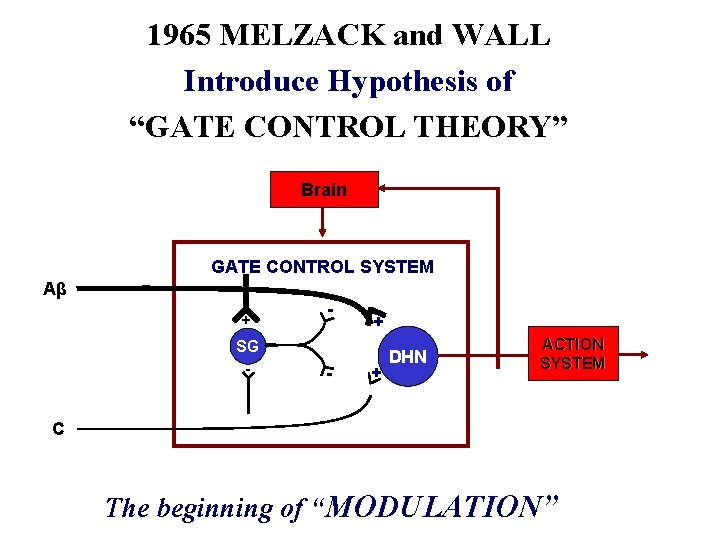 1965 MELZACK and WALL Introduce Hypothesis of “GATE CONTROL THEORY” Brain GATE CONTROL SYSTEM 1965 MELZACK and WALL Introduce Hypothesis of “GATE CONTROL THEORY” Brain GATE CONTROL SYSTEM