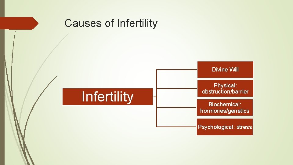 Causes of Infertility Divine Will Infertility Physical: obstruction/barrier Biochemical: hormones/genetics Psychological: stress 