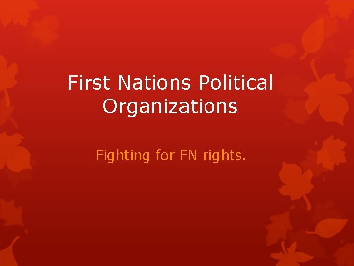 Fn Human Rights First Nations Political Organizations Fighting for FN rights