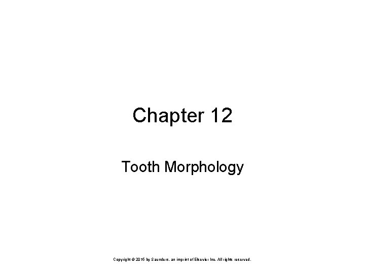 Chapter 12 Tooth Morphology Copyright © 2015 by Saunders, an imprint of Elsevier Inc.