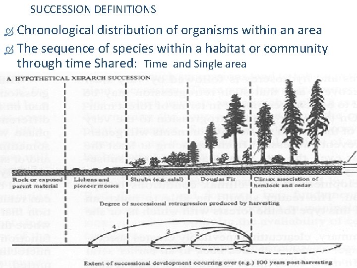 SUCCESSION DEFINITIONS Chronological distribution of organisms within an area The sequence of species within