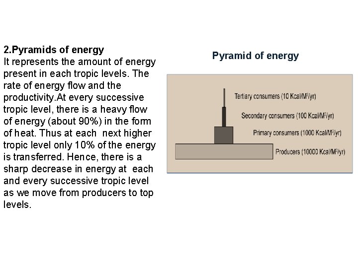 2. Pyramids of energy It represents the amount of energy present in each tropic