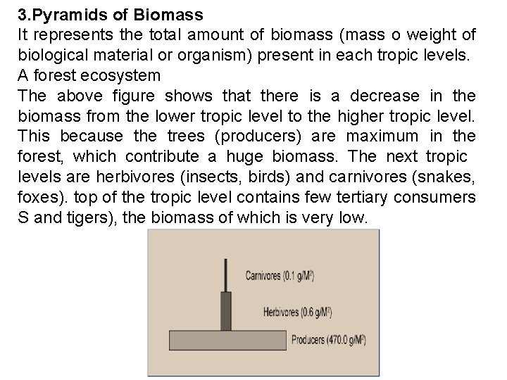 3. Pyramids of Biomass It represents the total amount of biomass (mass o weight