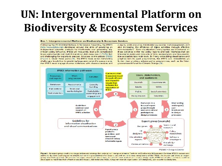 UN: Intergovernmental Platform on Biodiversity & Ecosystem Services 