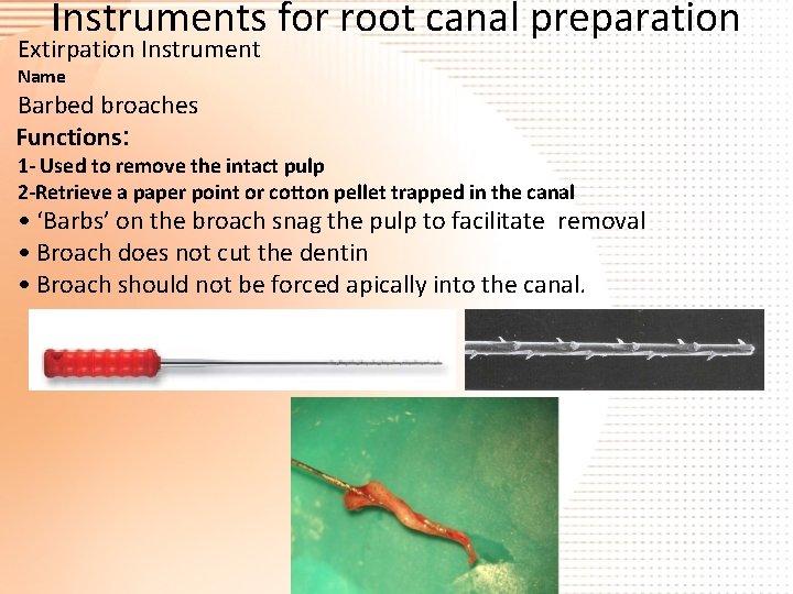 Instruments for root canal preparation Extirpation Instrument Name Barbed broaches Functions: 1 - Used