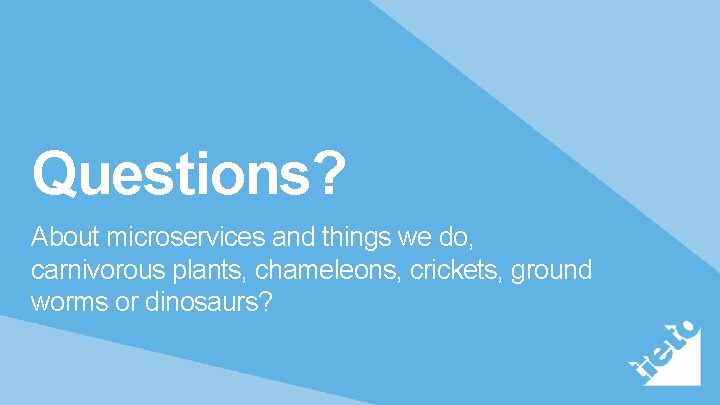 Questions? About microservices and things we do, carnivorous plants, chameleons, crickets, ground worms or
