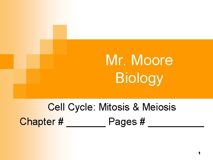 Mr. Moore Biology Cell Cycle: Mitosis & Meiosis Chapter # _______ Pages # _____