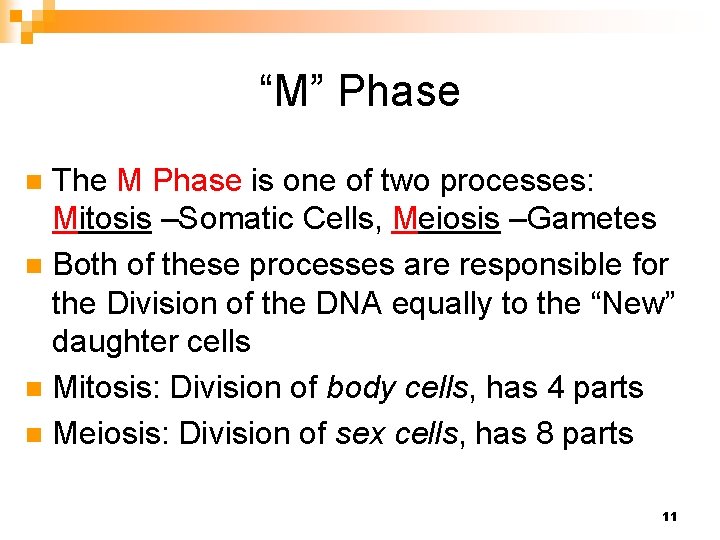“M” Phase The M Phase is one of two processes: Mitosis –Somatic Cells, Meiosis