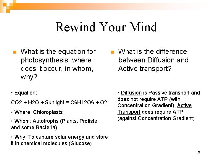Rewind Your Mind n What is the equation for photosynthesis, where does it occur,
