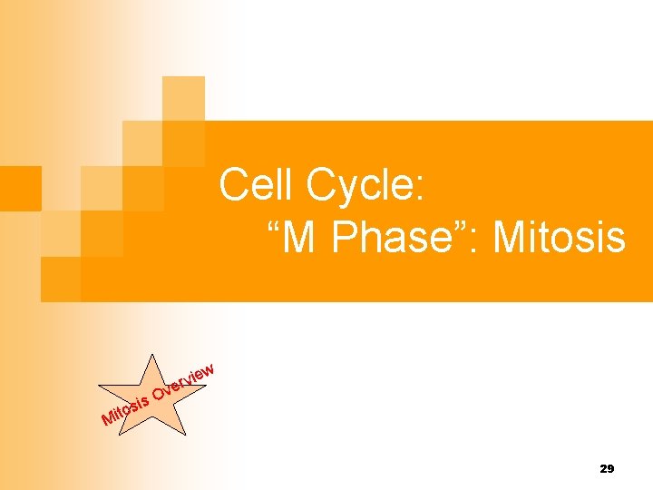 Cell Cycle: “M Phase”: Mitosis v s. O i s o w e i
