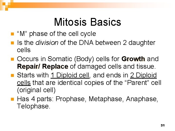 Mitosis Basics n n n “M” phase of the cell cycle Is the division