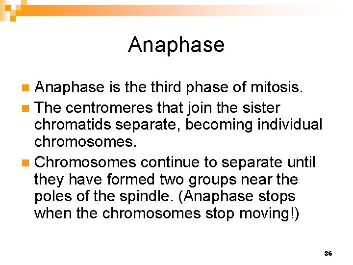 Anaphase is the third phase of mitosis. n The centromeres that join the sister